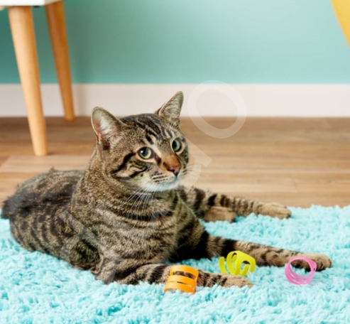Fat Cat Looney Loops Kedi Oyuncağı
