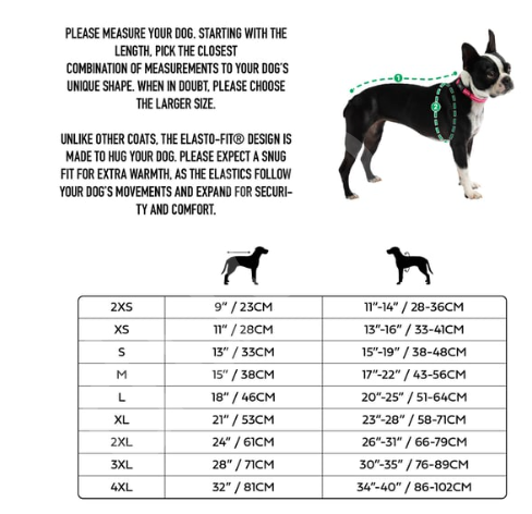 GF PET Çift Taraflı Köpek Yağmurluğu - Kırmızı