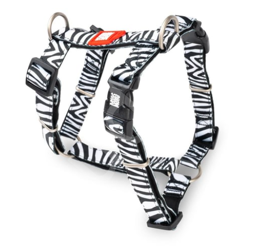 Max & Molly Zebra Köpek Göğüs Tasması