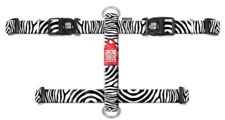 Max & Molly Zebra Köpek Göğüs Tasması