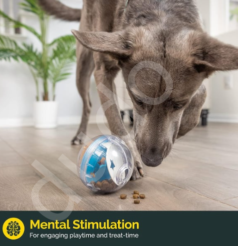 Pet Zone IQ Treat Ball Kedi ve Köpek Ödül Topu (7.5 cm)