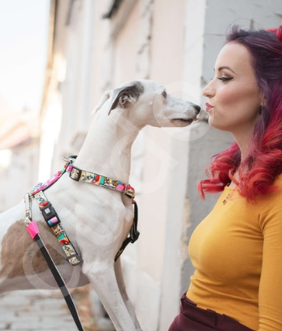 Max & Molly Missy Pop Köpek Göğüs Tasması-S