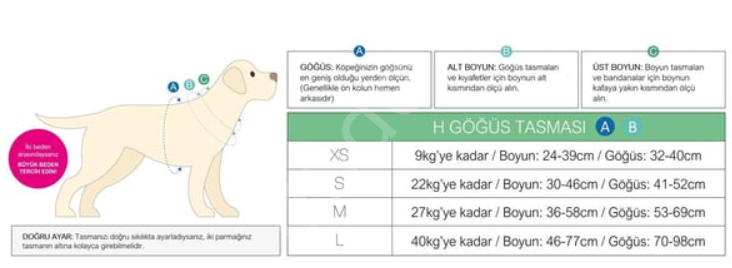 Max & Molly Missy Pop Köpek Göğüs Tasması-L