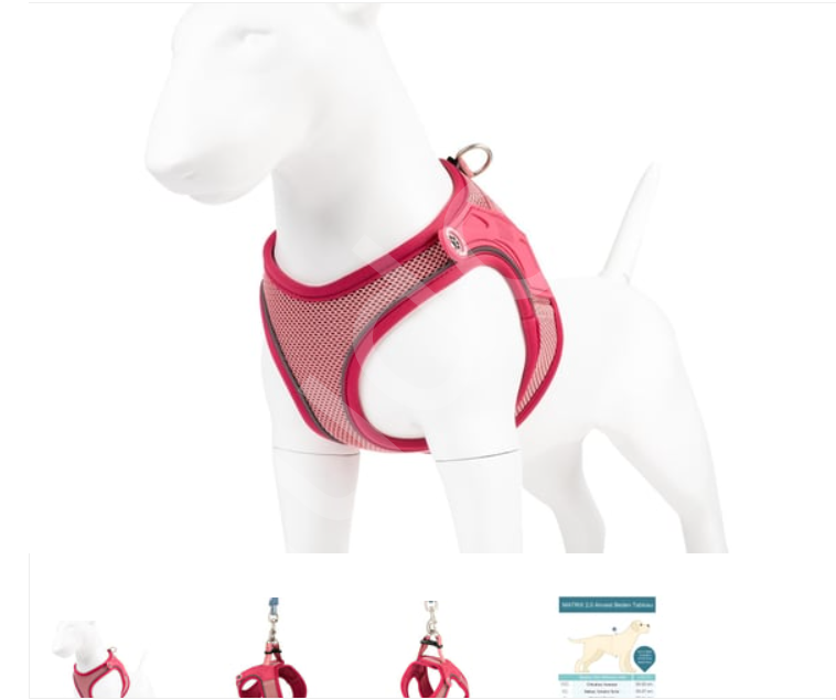 Matrix 2.0 Air Vest Köpek Göğüs Tasması XXS- Rose