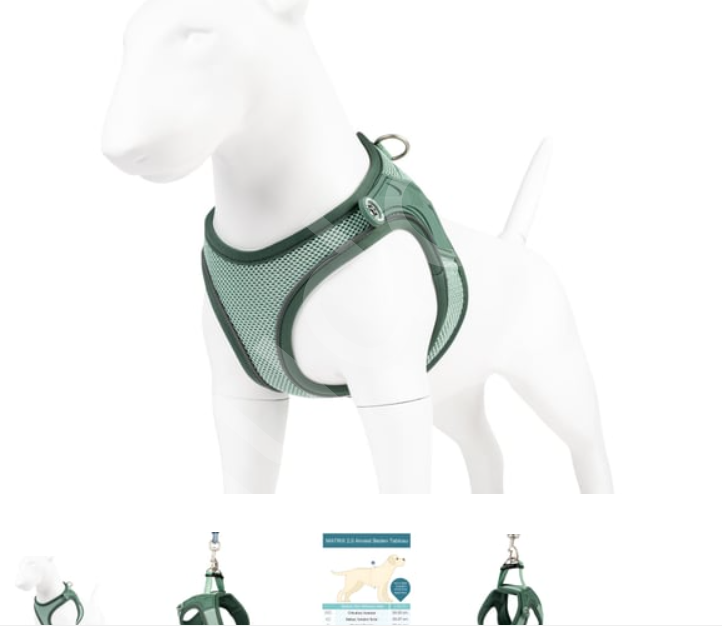 Matrix 2.0 Air Vest Köpek Göğüs Tasması - Jade