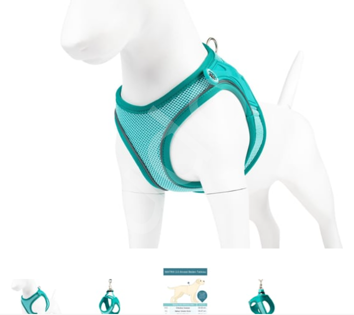 Matrix 2.0 Air Vest Köpek Göğüs Tasması - Turkuaz