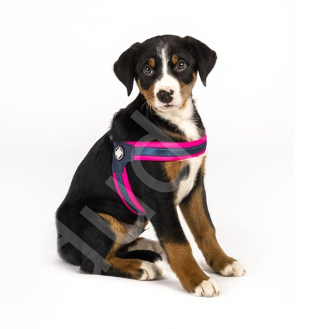 Max & Molly Matrix Pink Q-Fit Köpek Göğüs Tasması