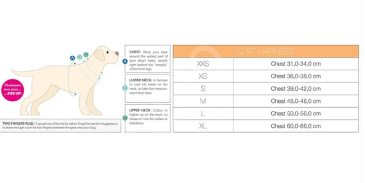 Max & Molly Matrix Green Q-Fit Köpek Göğüs Tasması