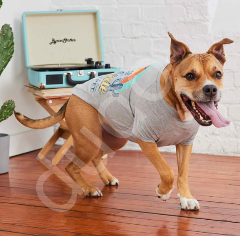 GF Pet Graphic Tee Köpek Tshirt - Gri-M