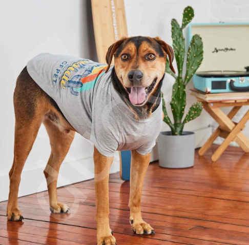 GF Pet Graphic Tee Köpek Tshirt - Gri-M