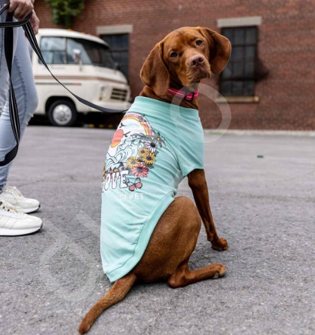GF Pet Graphic Tee Köpek Tshirt - Aqua- XS