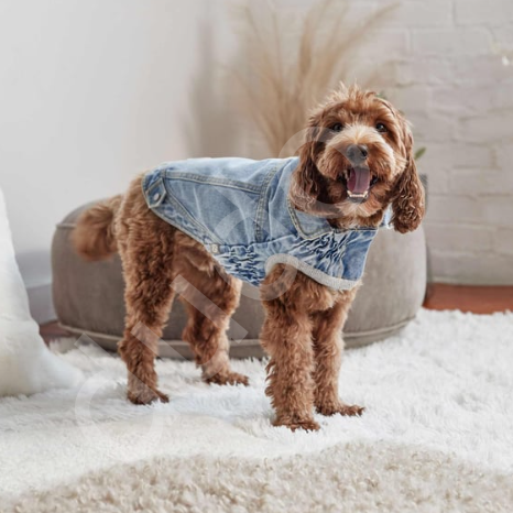 GF Pet 90's Köpek Kot Mont-S
