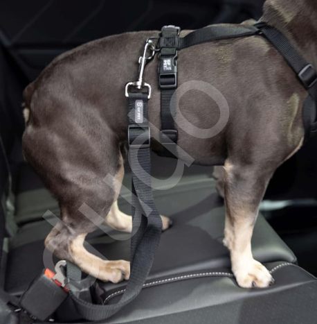 GF Pet Köpek Emniyet Kemeri