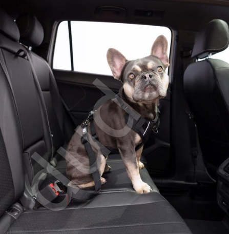 GF Pet Köpek Emniyet Kemeri