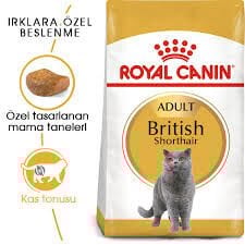 Ürün İsmi İcon